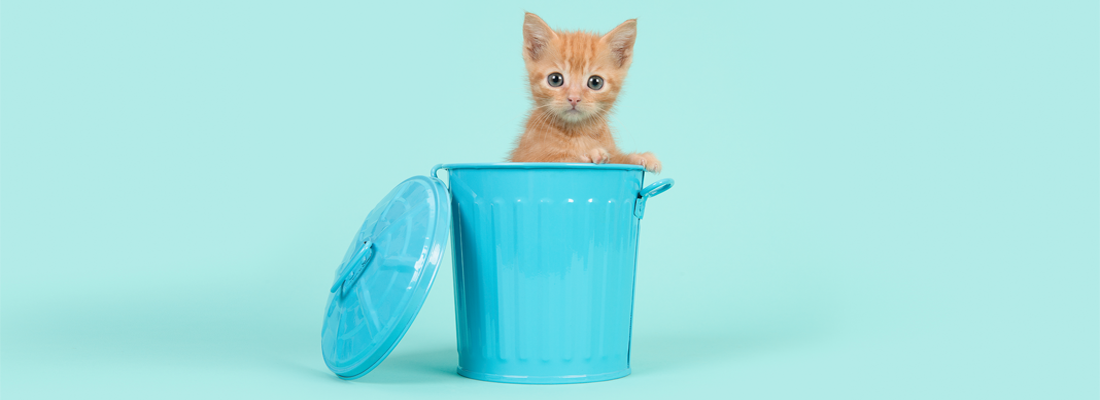 Een schattig katje in een kleine, blauwe prullenbak